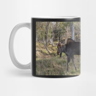 Moose in the fall woods Mug